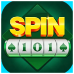 Spin 101